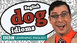 Dog idioms - Learn English idioms with 👨‍🏫 The Teacher