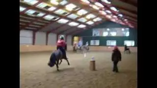 Michelle & Kiss training with Mark Devitt