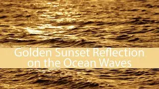 Perfect Sunset Glistening on the Ocean Waves | Calming Ocean Waves | Nature at its Best | 5 HOURS