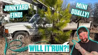 ABANDONED mini truck DUALLY!  WILL IT RUN?!? ((1984 Toyota Dolphin.))