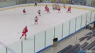 8 RD Fox Motors Vs Belletire