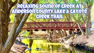 Anderson County Park|Cayote Creek Trail|Morgan Hill California