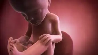 Your baby at 27 weeks | Week-by-week pregnancy | MadeForMums