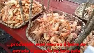 Ilha e Mosqueiro