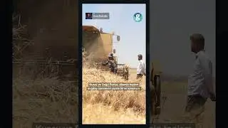 Suriye'de YPG'nin elinden alınan doğal gaz ve petrol&uuml;n değeri ne?
