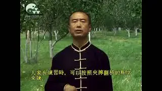 Tai Chi Stick Chansi Gong Learning Suggestions