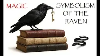 SYMBOLISM OF THE RAVEN &mdash; Magic &mdash; 🎙PODCAST🎙
