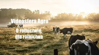Dezynsekcja i deratyzacja w produkcji trzody chlewnej