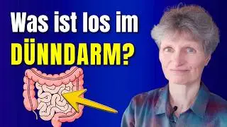 Chromatest: Wie geht es dir und deinem Dünndarm?