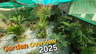 2025 Garden Overview || Rooftop Garden || Plants Nursery #planting #gardening #farming #india