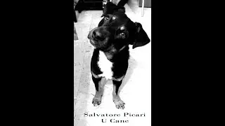 FuoriSchema: Salvatore Picari, U Cane