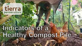 Indicators of a Healthy Compost Pile | Backyard Permaculture Homestead