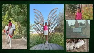 || An evening at RAK Nature Treasures ✨ 💚 | RAK Nature Treasures vlog | RAK tourism | Sainika ||