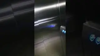 asansör özürlü buton