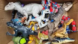 Hunting Jurassic World Toy Dinosaur Collection ASMR
