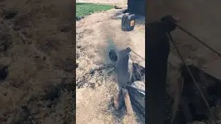 old Black Diesel Engine air fine system #experiements #dieselengine #shortvideo #coolvideo