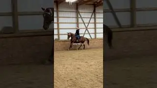 Selbstvertrauen st&auml;rken #Pferd #Reiten #Reitsport #Springen #Selbstvertrauen