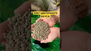 Зелёный кофе, который пахнет цветами!