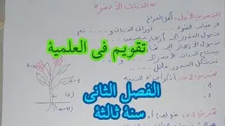 تقويم في التربية العلمية سنة ثالثة ابتدائي الفصل الثاني حول النبات الاخضر