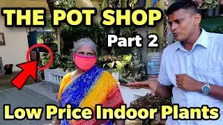 Best Indoor Plant Shop In Chennai | The Pot Shop By Stephen | Succulent Plants in chennai | Part 2