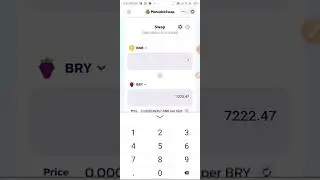 BRY Token of BERRY EXCHANGE/BERRY MAX is Fake.