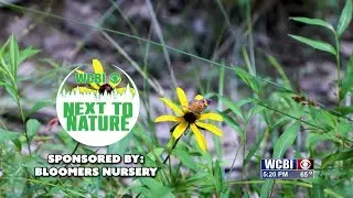 Next to Nature (Winter Clothing) - 01/07/25