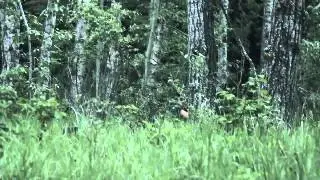Military Simulation School Project