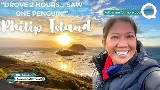 The Day We Chased Penguins at Philip Island (and Found One!)