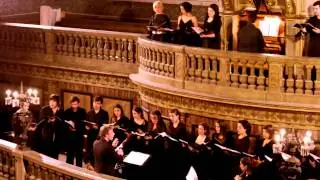 MARCOS PORTUGAL | Miserere [excertos] | Ensemble MPMP