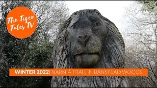 Narnia Trail | Banstead Woods