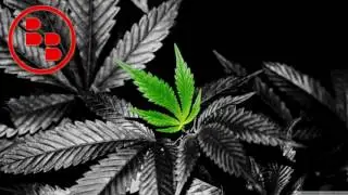 FAST TEMPO AGGRESSIVE FREE INSTRUMENTALS TRAP BEATS HIP HOP BEATS BANGERS RAP BEATS