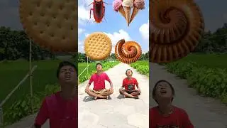 Tu Radha meri mia shyam Tera ye jodi na pabe jamane me 💞 ❤️ 💞 two brothers eating challenge