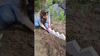 Just had extra bricks For flower bed 🌸🌷🌼🌷Some DIY 😁#diy #homestead #gardenhacks #flowerbed