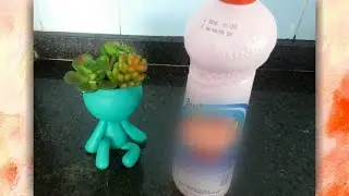 Como fazer vasos decorativos para (Cactos e Suculentas) com ♡Embalagem reciclável e ♡Biscuit!