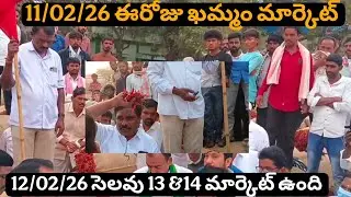 11-02-26 Today #khammam market yard prices Khammam market yard prices #mirchi #chili #New 