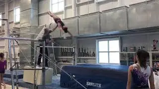 Training The Maloney on Bars