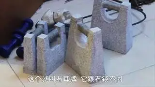 Dang Jang&nbsp; Gong Sifu: 