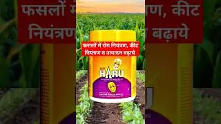 haru fungicide | tebuconazole+sulphur| #drpunitshishodia #agriculture #kheti #fungicide