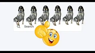 Website Custom Embedded Search Bar Tutorial