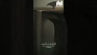 Quran Recitation