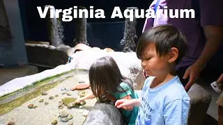 We Visit the Virginia Aquarium & Marine Science Center