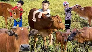 con b&ograve; -nhạc con b&ograve;  tổng hợp vui nhộn - li&ecirc;n kh&uacute;c nhạc con b&ograve; - cow