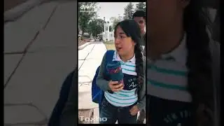 Mientras tanto en internet - Toxho