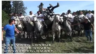 Abrivado Longue Paluds-de-Noves 10-05-2015