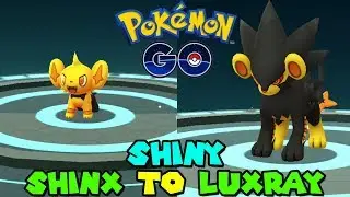 Evolving SHINY SHINX TO SHINY LUXRAY IN POKEMON GO