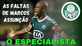 Top 6 gols de falta de Marcos Assunção pelo Palmeiras