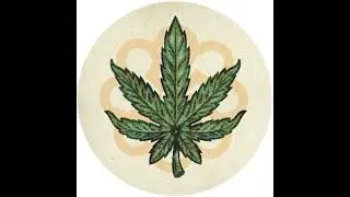 Coyote - Marijuana (Featuring Rolo McGinty)