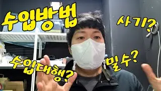 파충류 수입하는 법?
