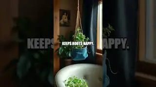 Old Jeans Turn Walls into Mini Herb Gardens