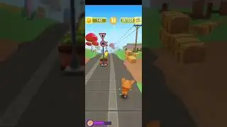 PET CAT ENDLESS RUN PET CAT ENDLESS RUN